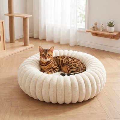 Coussin Chat allongé dans le coussin