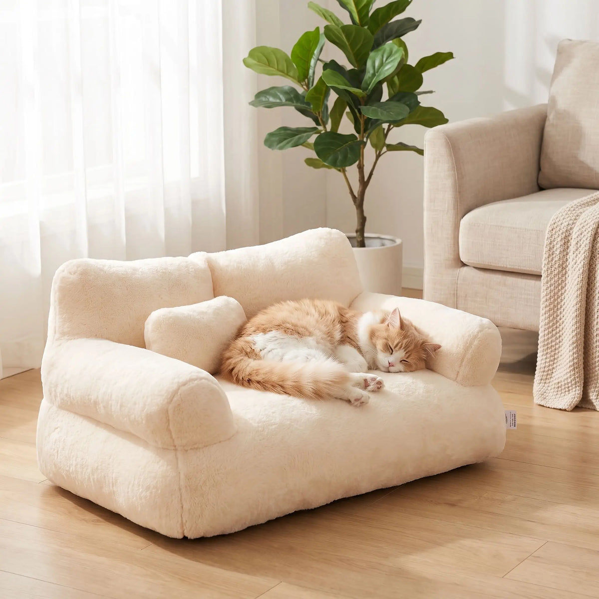 chat allongé confortablement
