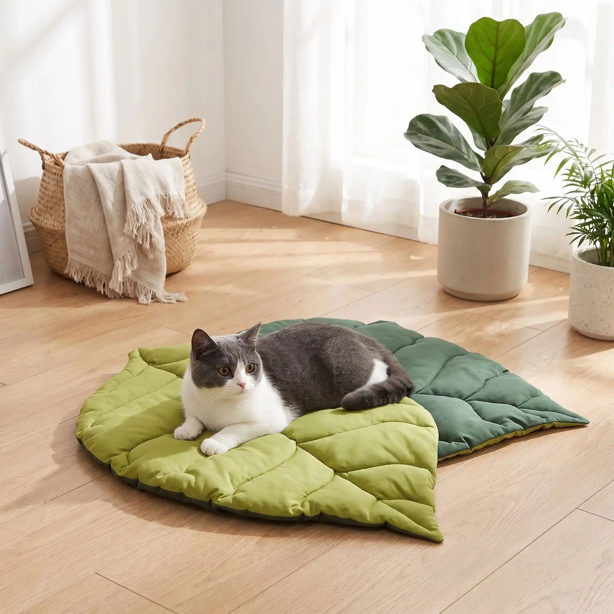 chat allongé sur lit pour chat en forme de feuille