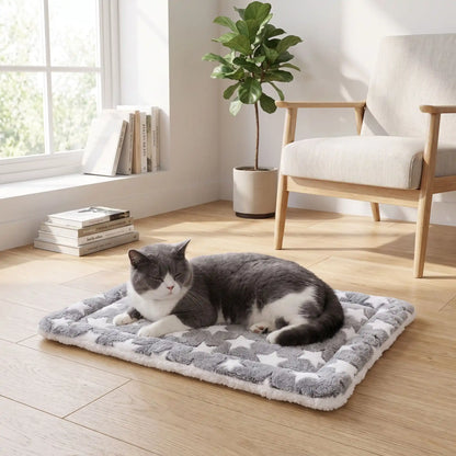 chat allongé sur son lit pour chat gris
