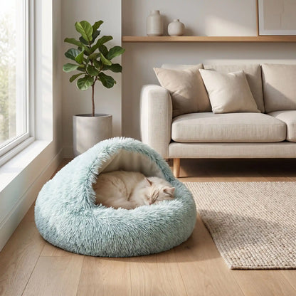 chat blanc qui dort dans son lit vert