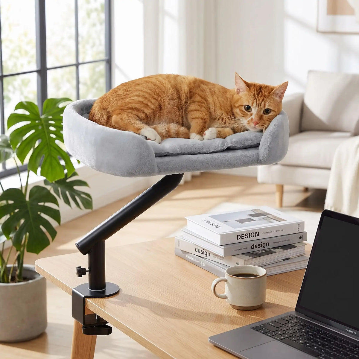 chat installé sur son hamac pour chat pour bureau