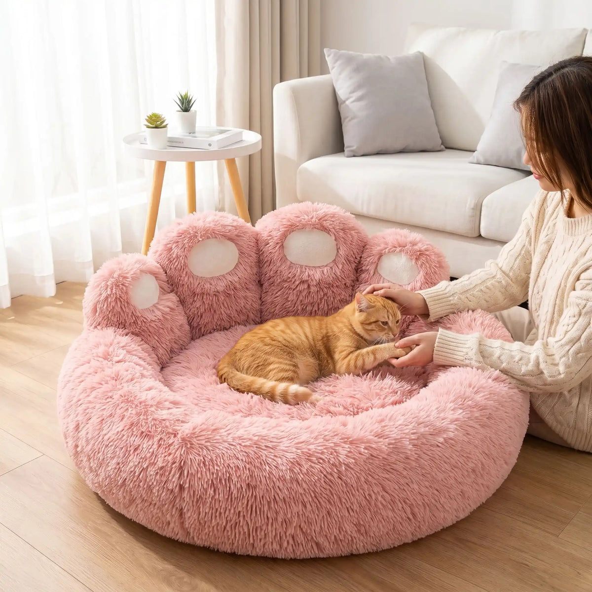 chat joue avec maman dans son coussin