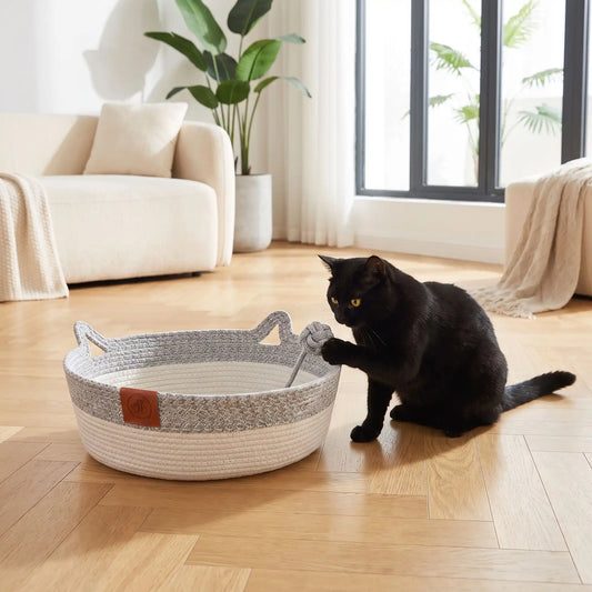 chat noir joue avec le panier gris