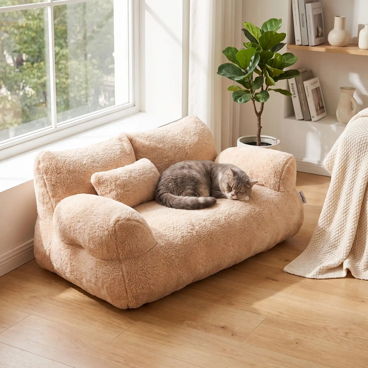 chat qui se repose