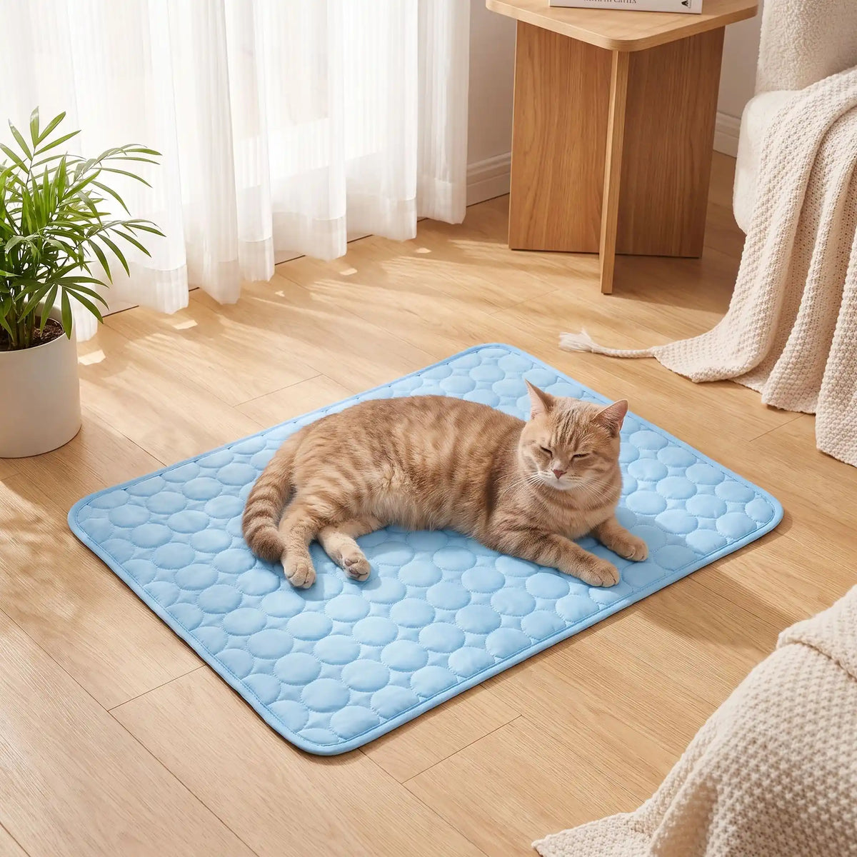 chat roux allongé sur le tapis rafraichissant