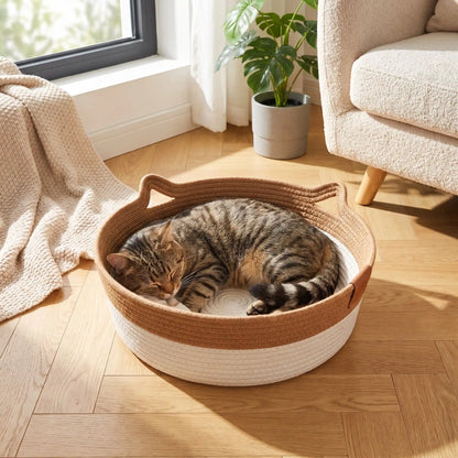 chat se repose dans panier marron