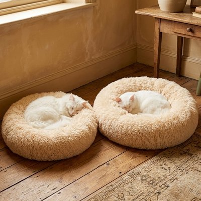 Coussin Chat 2 chats qui se repose