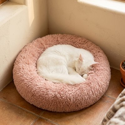 Coussin Chat se repose 
