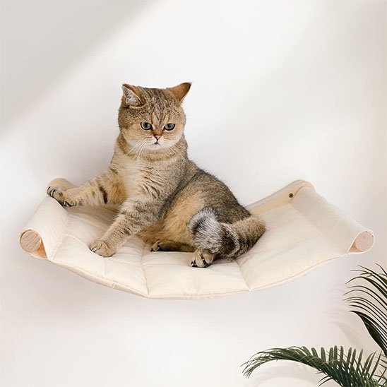 Hamac pour chat​ qui joue
