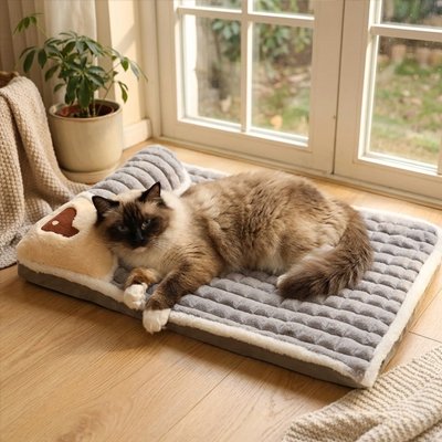 Lit pour Chat gris chat se repose 