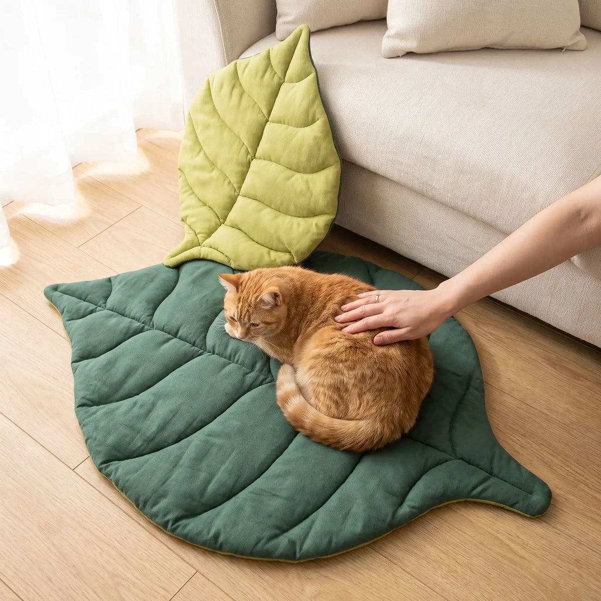 maman caresse le chat qui est sur son lit pour chat