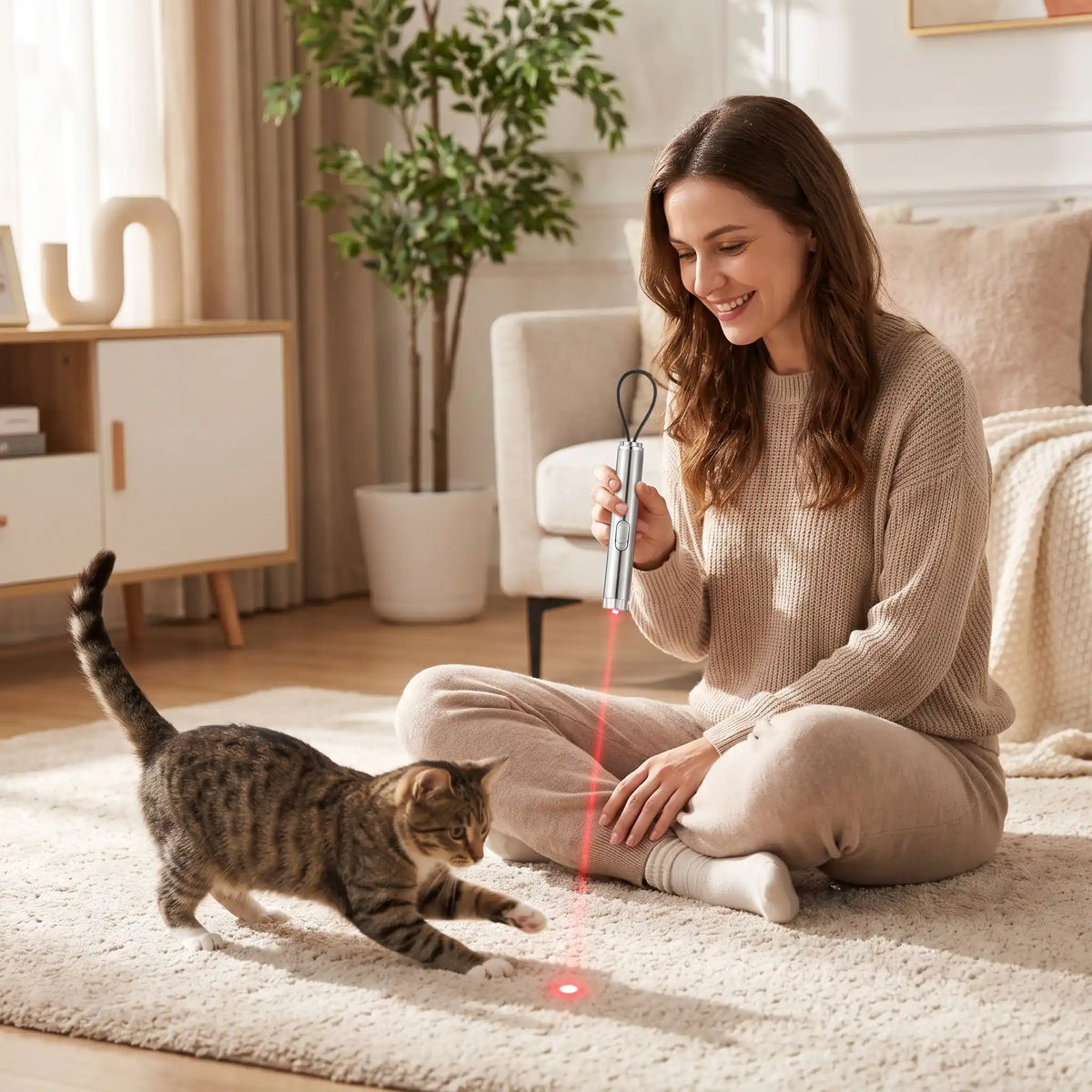 maman joue avec le chat avec le laser