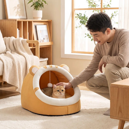 papa caresse chat dans sa niche pour chat