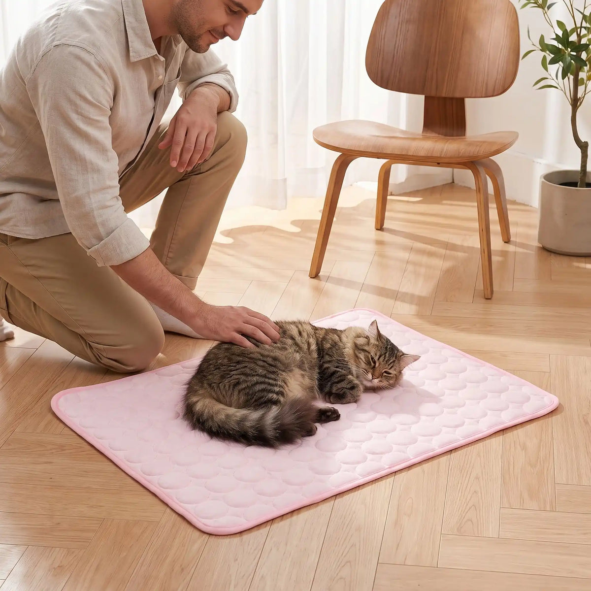 papa entrain de caresser le chat