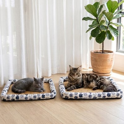 Tapis rafraichissant Chat chaton et chat ensemble